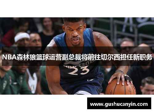 NBA森林狼篮球运营副总裁将前往切尔西担任新职务